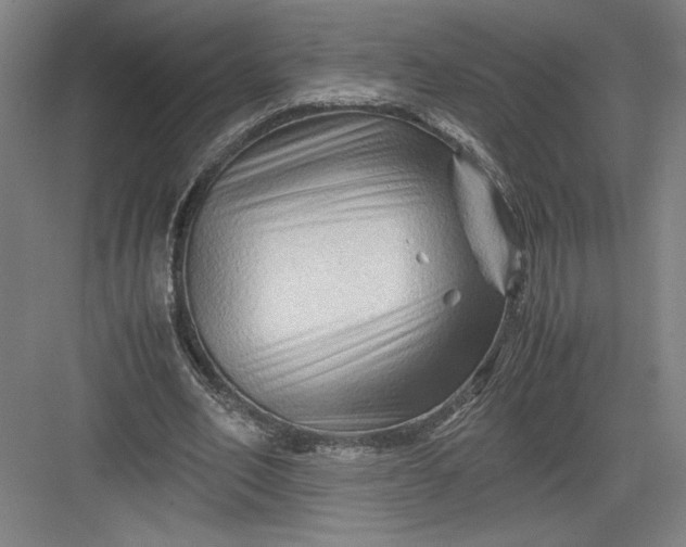 X0000082950582200702152242