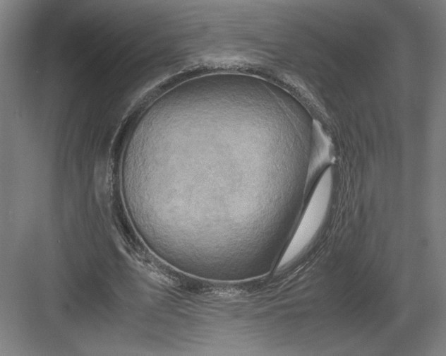 X0000082950583200702152242