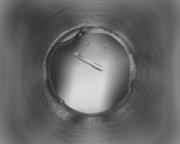 X0000082950584200702152242