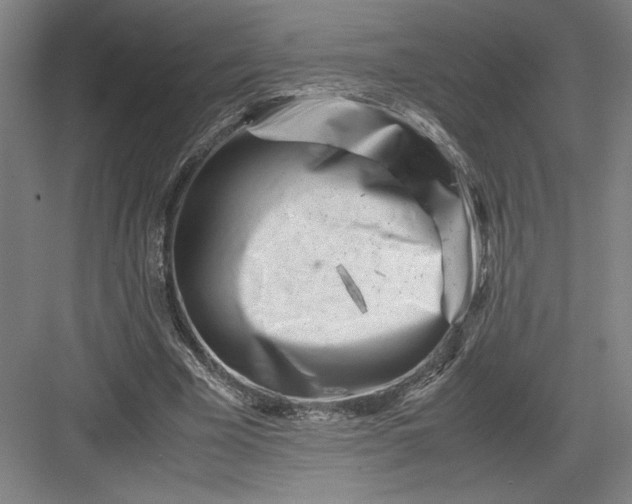 X0000082950585200702152242