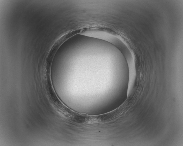 X0000082950587200702152242