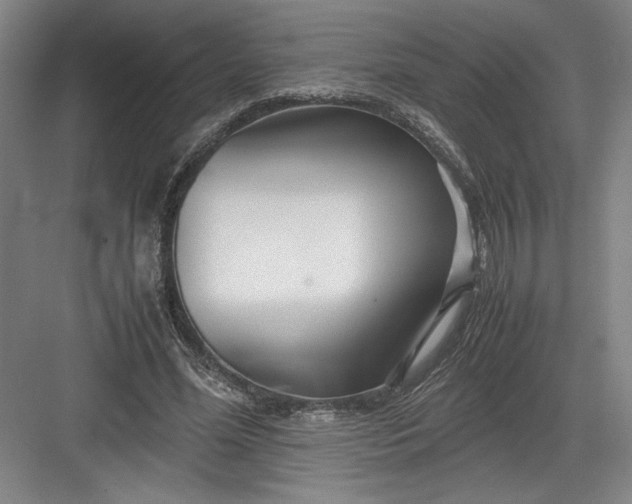 X0000082950588200702152242