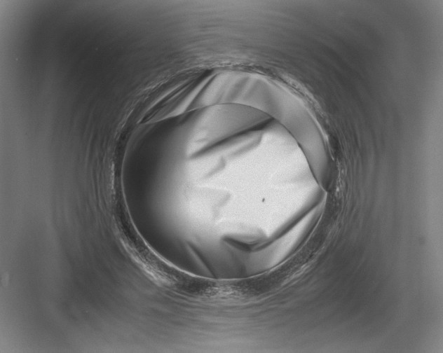 X0000082950589200702152242