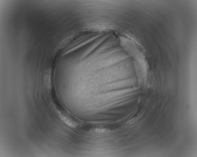 X0000082950590200702152242