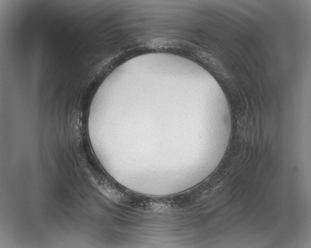 X0000082950592200702152242