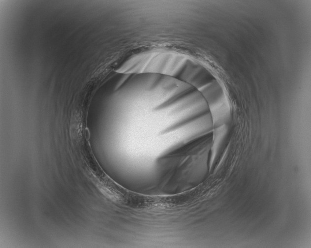 X0000082950593200702152242