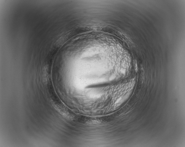 X0000082950594200702152242