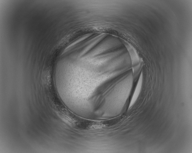 X0000082950595200702152242