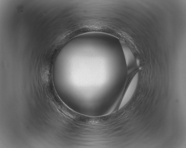 X0000082950596200702152242