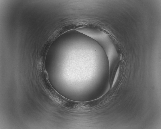 X0000082950597200702152242