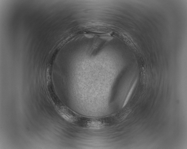 X0000082950598200702152242