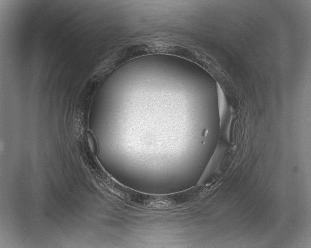 X0000082950599200702152242