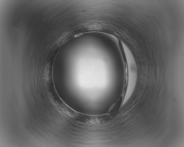 X0000082950600200702152242