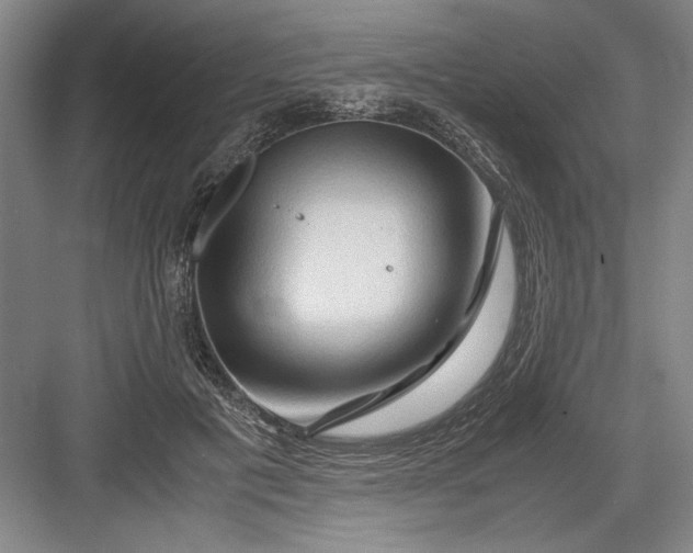 X0000082950601200702152242