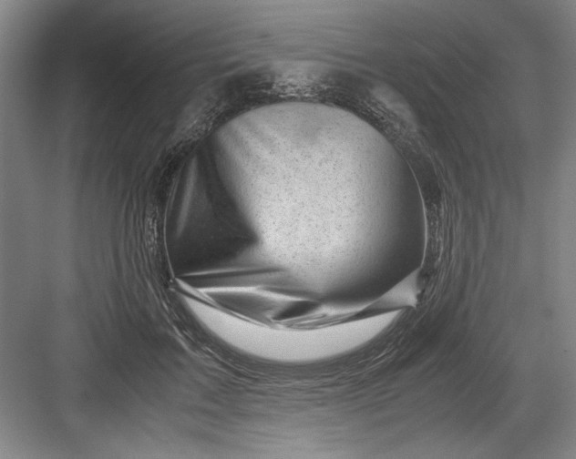 X0000082950603200702152242