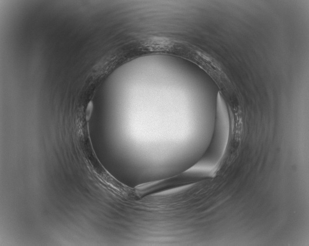 X0000082950604200702152242