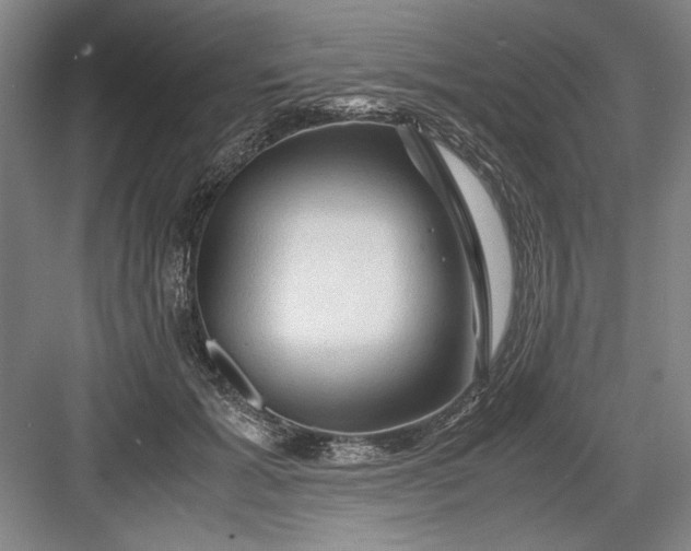 X0000082950605200702152242