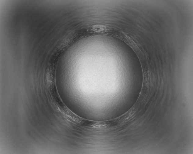 X0000082950606200702152242