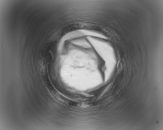 X0000082950607200702152242