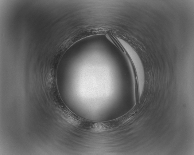 X0000082950608200702152242