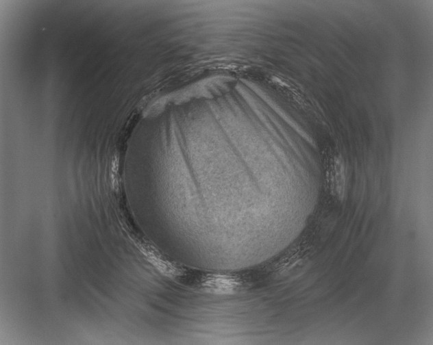 X0000082950610200702152242