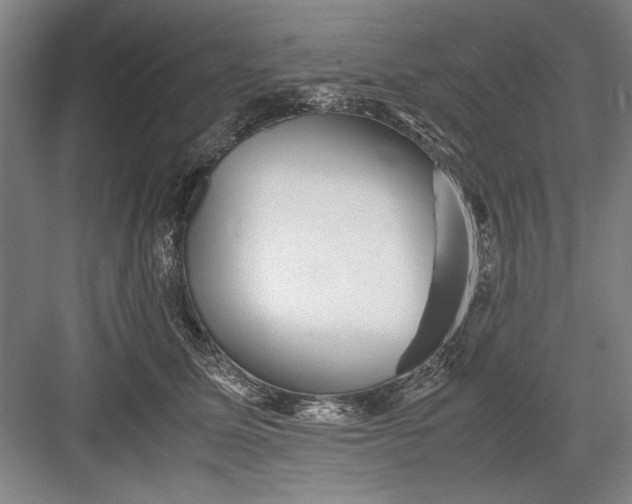 X0000082950611200702152242