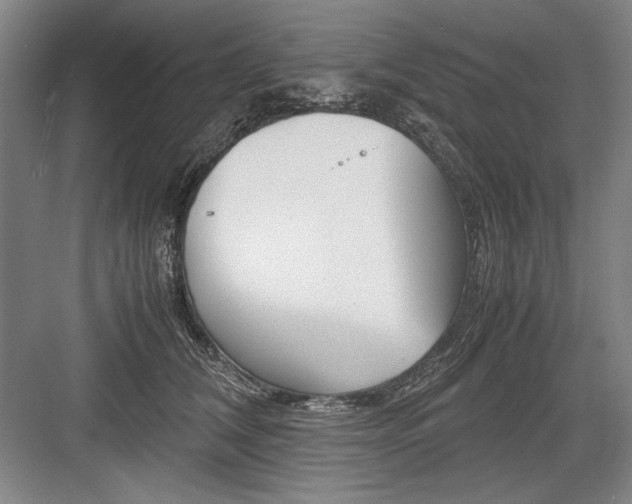 X0000082950612200702152242