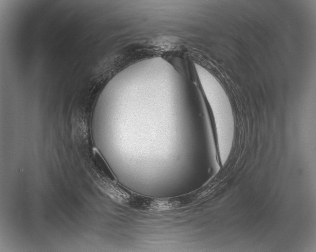 X0000082950613200702152242