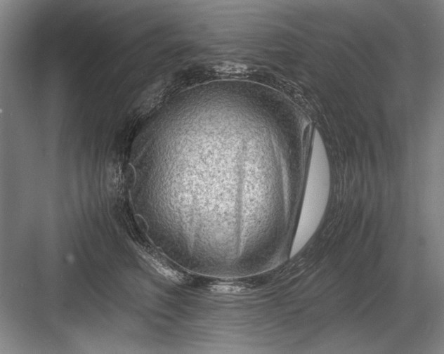 X0000082950614200702152241