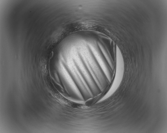 X0000082950615200702152241