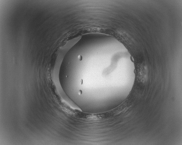 X0000082950616200702152241