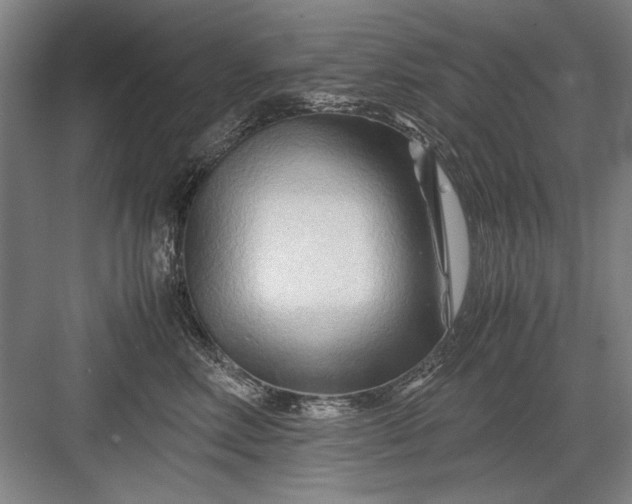 X0000082950618200702152241