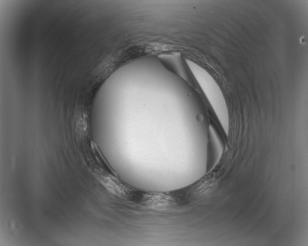 X0000082950621200702152241