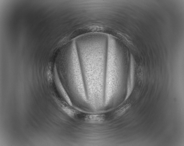 X0000082950622200702152241