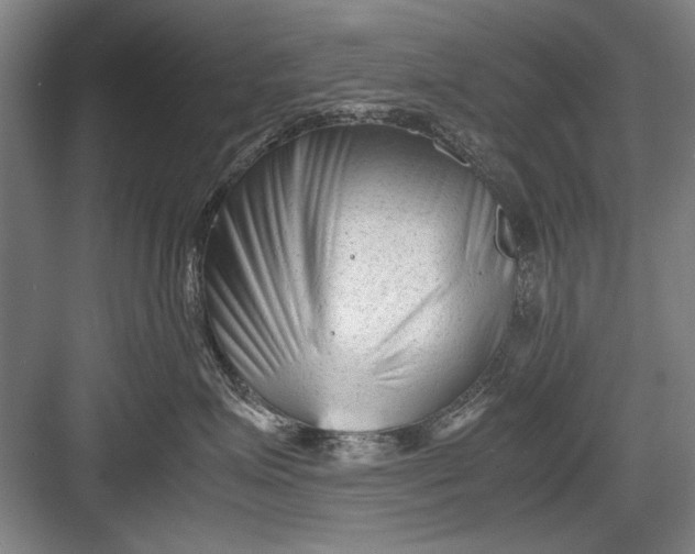 X0000082950623200702152241