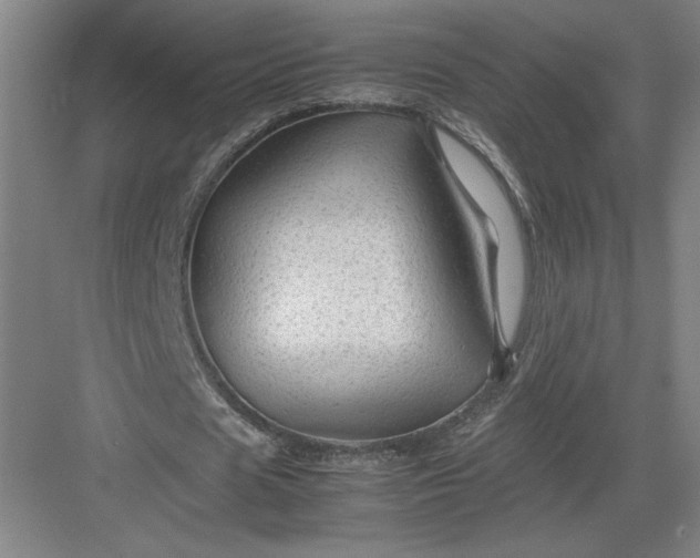 X0000082950625200702152241