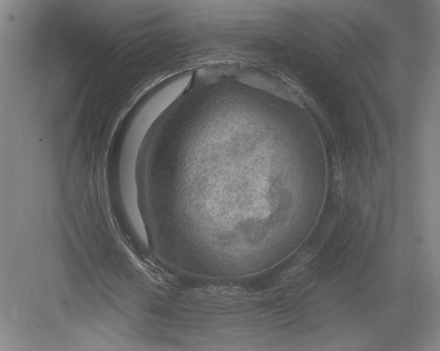 X0000082950626200702152241