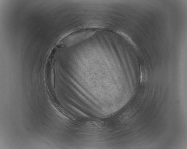 X0000082950627200702152241