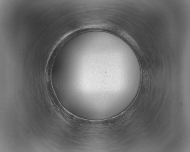 X0000082950628200702152241