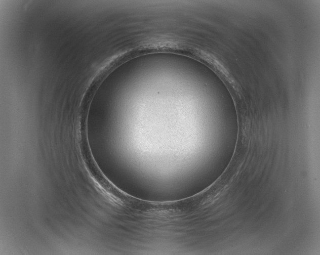 X0000082950629200702152241