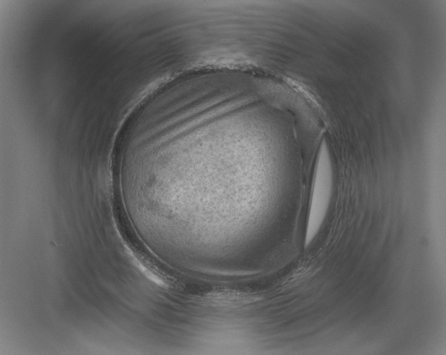 X0000082950630200702152241