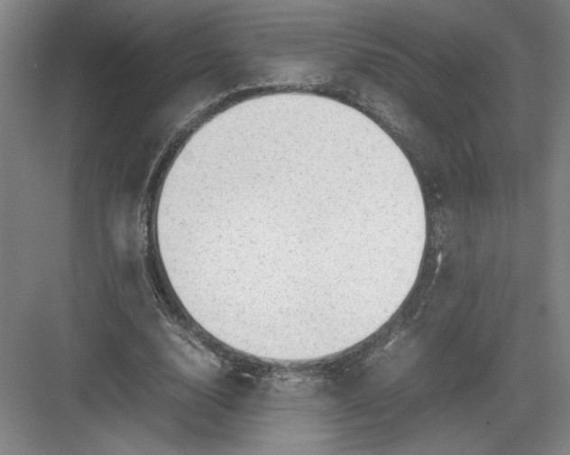 X0000082950632200702152241