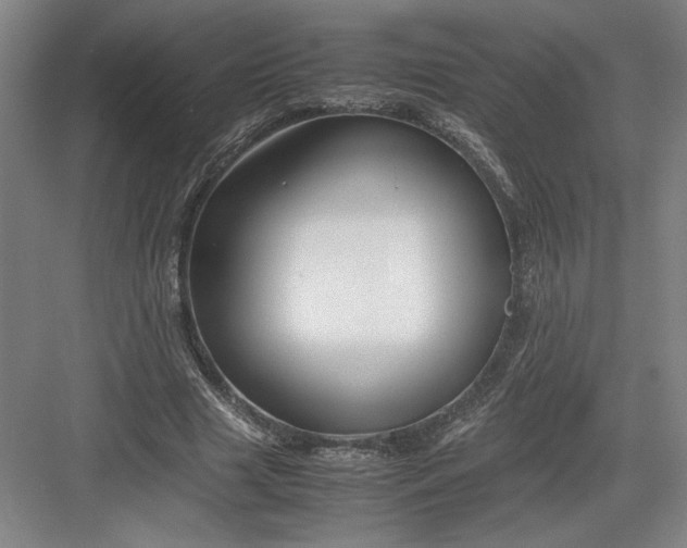 X0000082950633200702152241