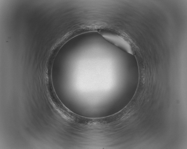 X0000082950634200702152241