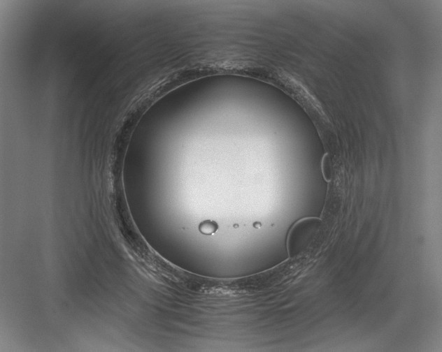 X0000082950635200702152241