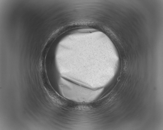 X0000082950636200702152241