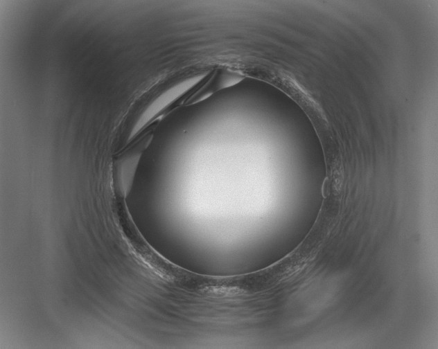 X0000082950637200702152241