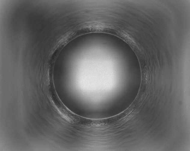 X0000082950638200702152241