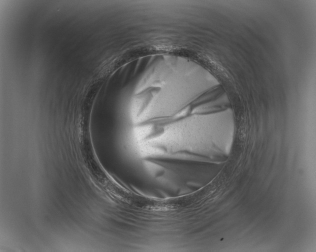 X0000082950639200702152241