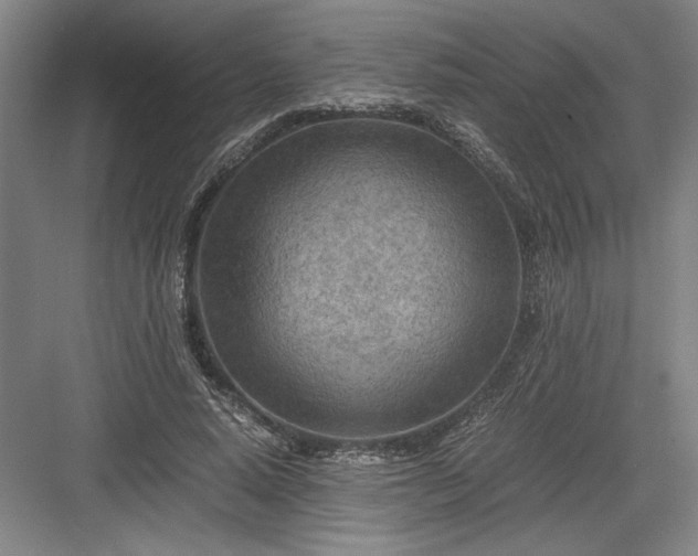 X0000082950640200702152241